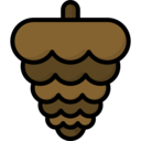 nature,cone,pine,nut,autumn,pine nut ok 
